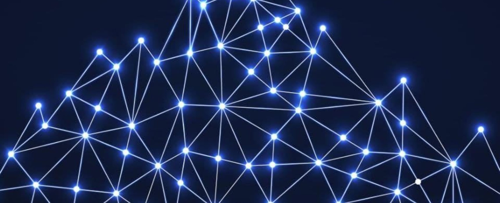 What is Avalanche Network (AVAX) and how does it work?